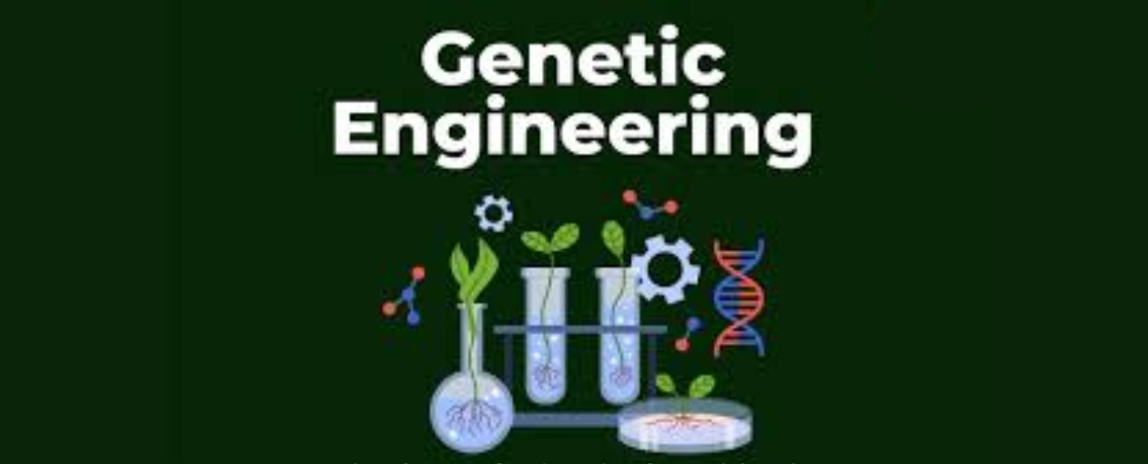 GENETIC ENGINEERING